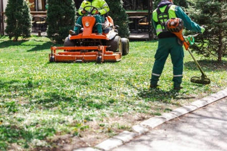 Les secrets d'un entretien jardin réussi tout au long des saisons