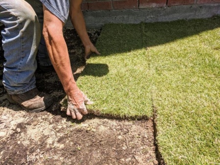 Engazonnement de votre jardin, techniques pour un gazon parfait
