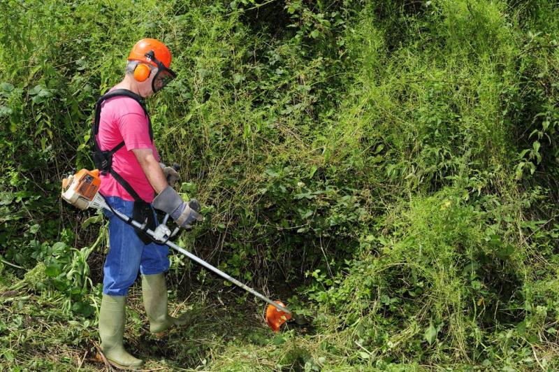 D&eacute;broussaillage d'un terrain &agrave; Gu&eacute;rande, quelles techniques avant de replanter ?